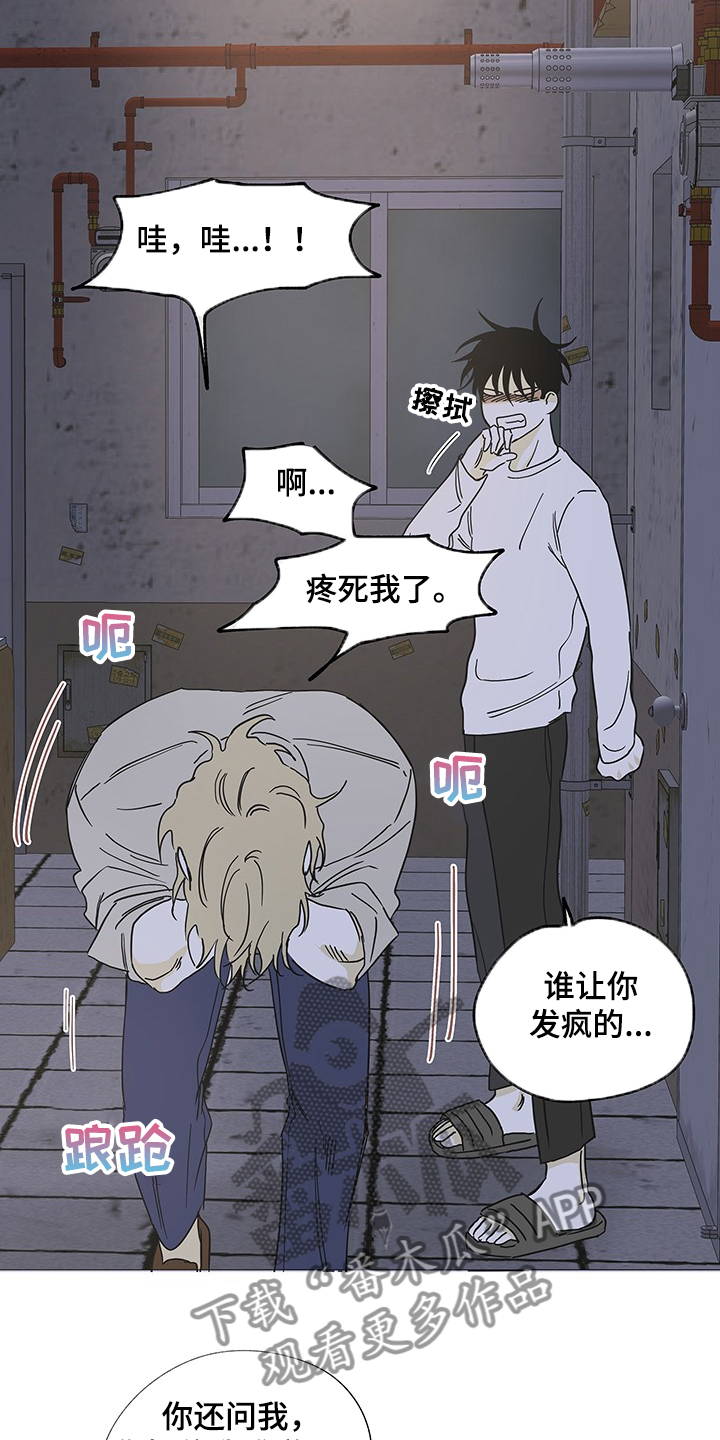 第13章：那个人怎么样7