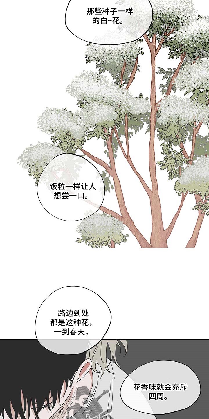 第18章：花香17
