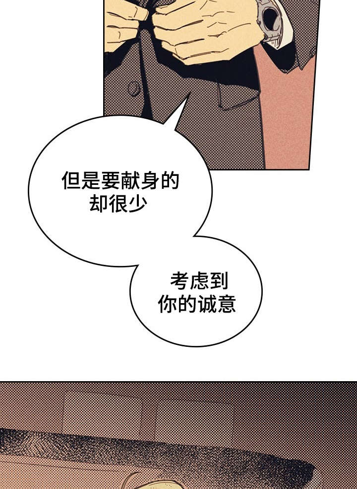 第13章：献身22