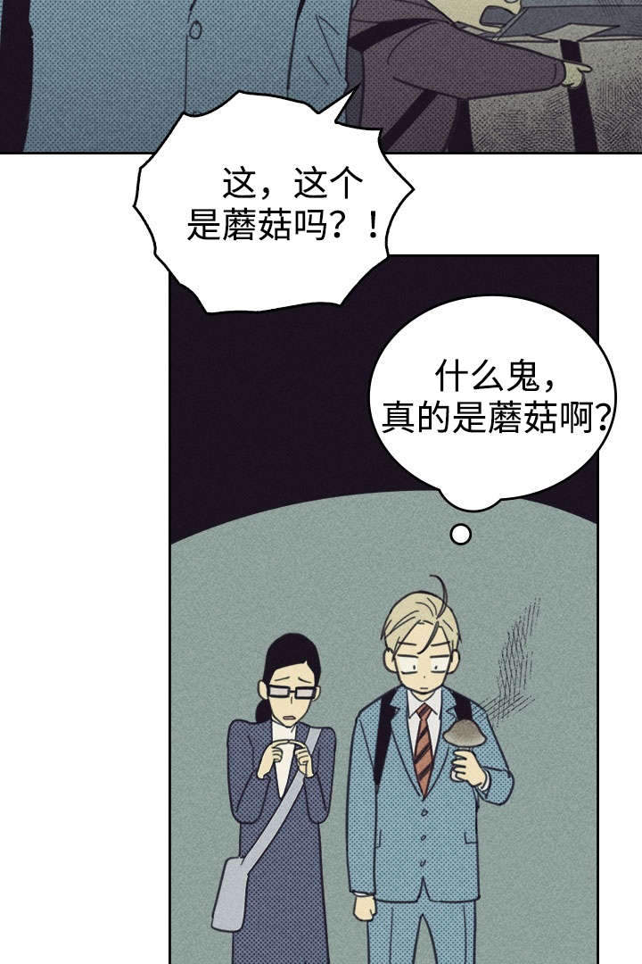 第28章：更新装备4