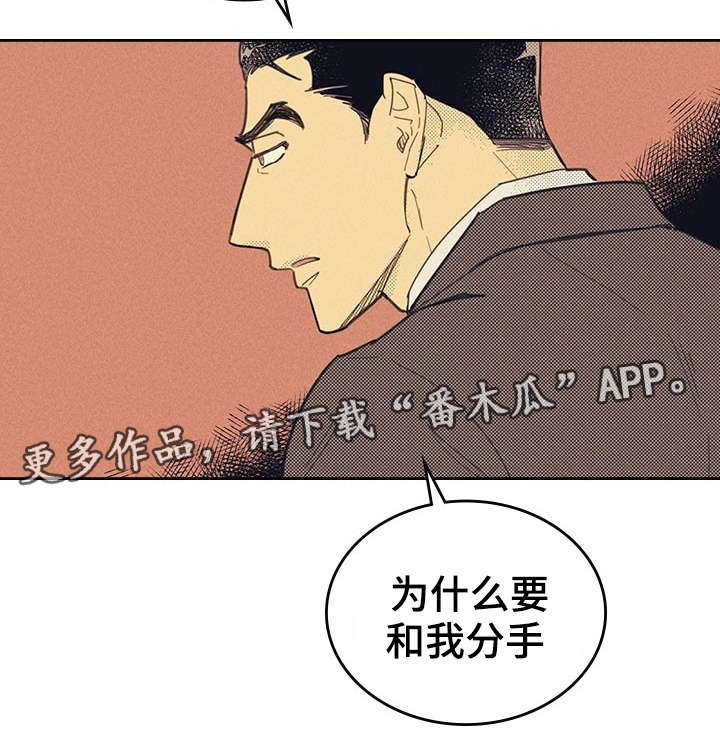 第11章：完美年下男3
