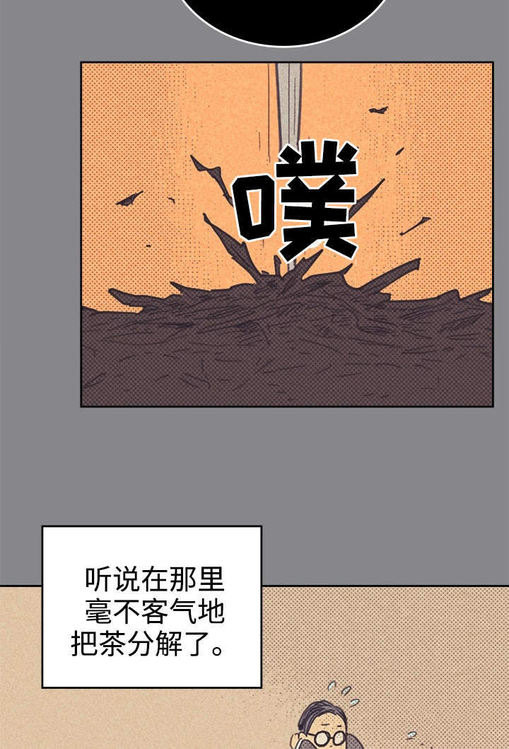 第34章：普洱茶27