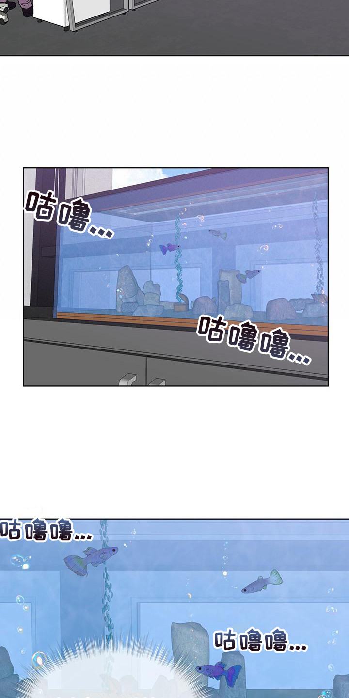 第13章：4K公司5