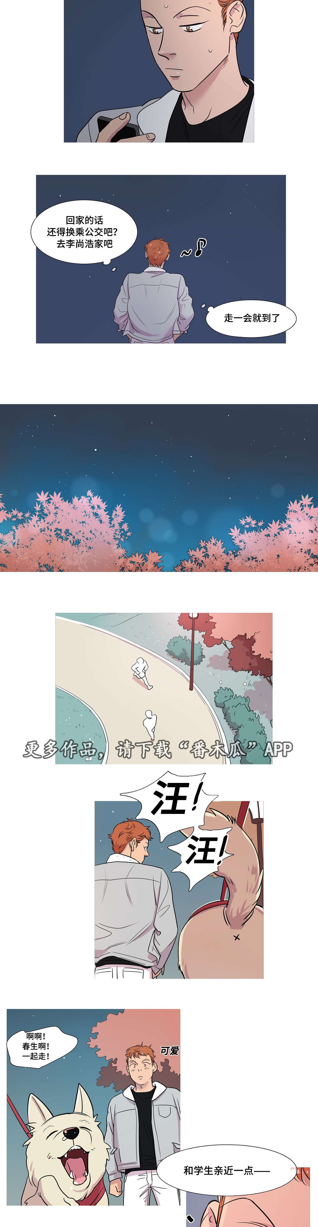 第31章：他喜欢你吗6
