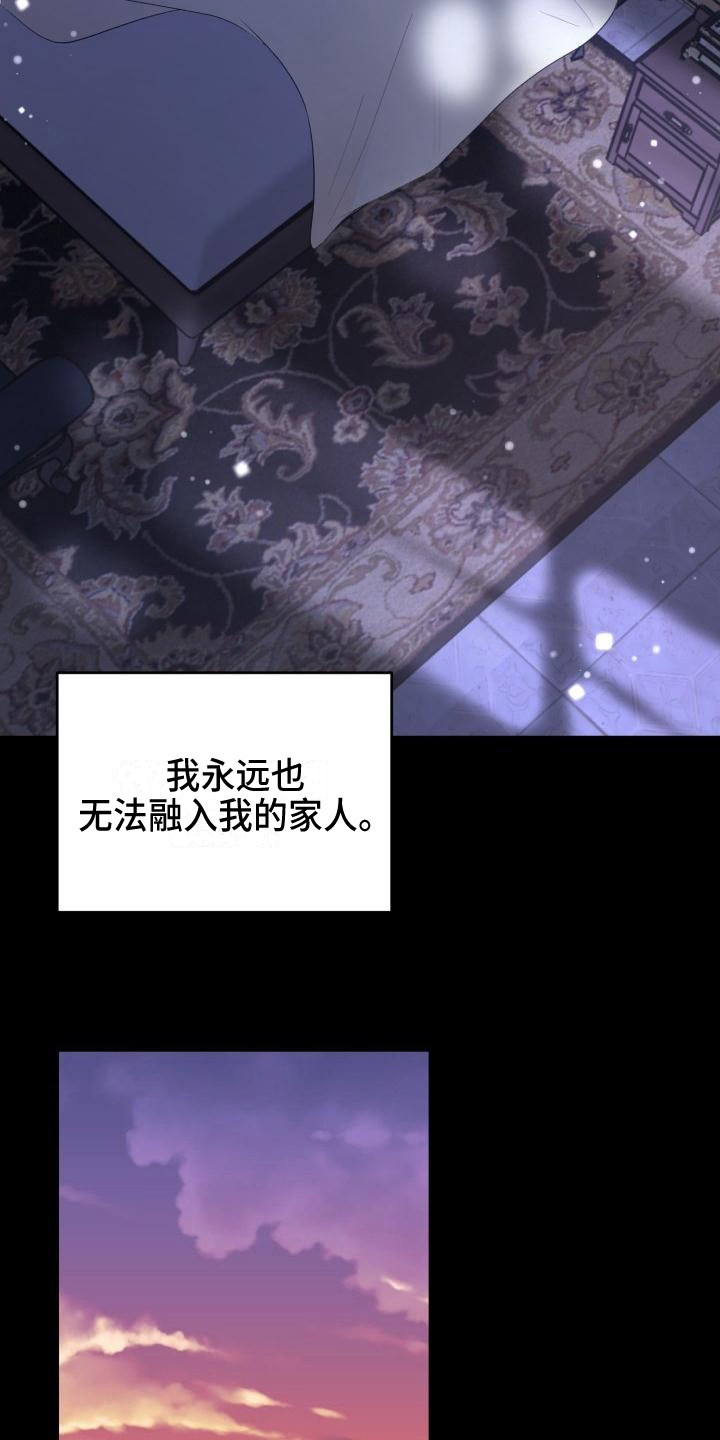 第17章：领养19