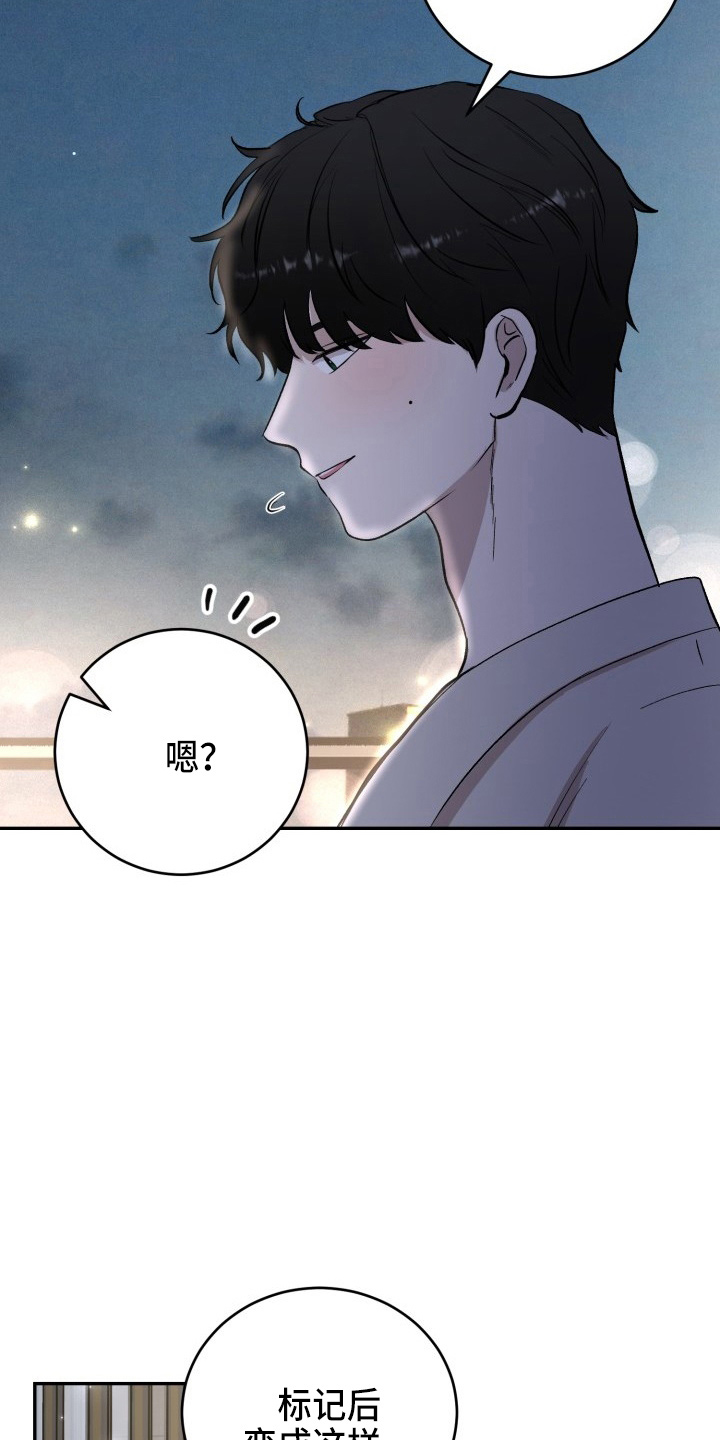 第40章：项链2