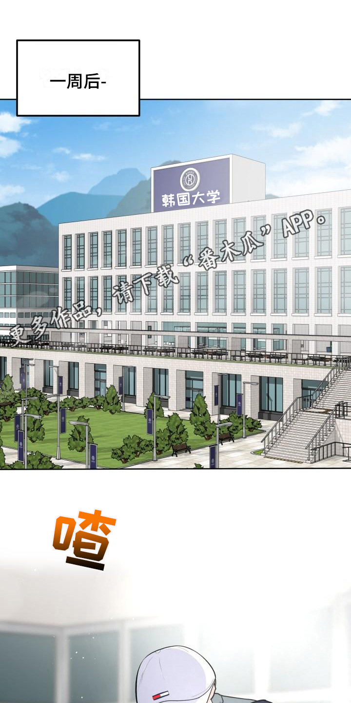 第4章：烦人11