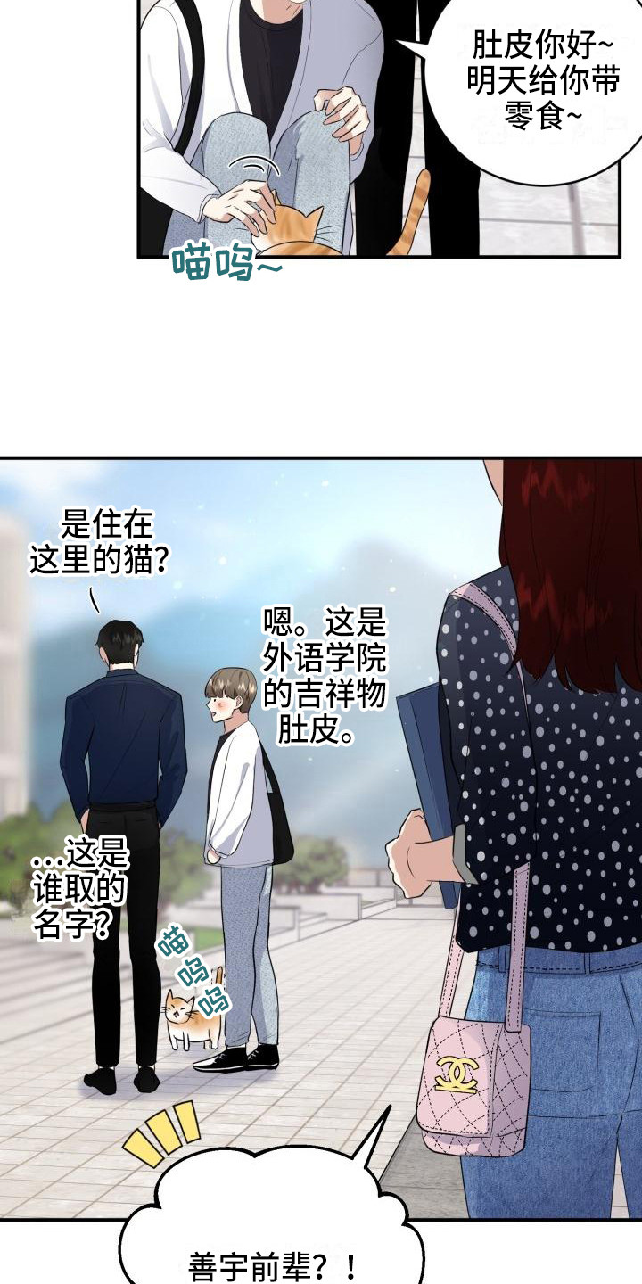 第10章：所了解的17