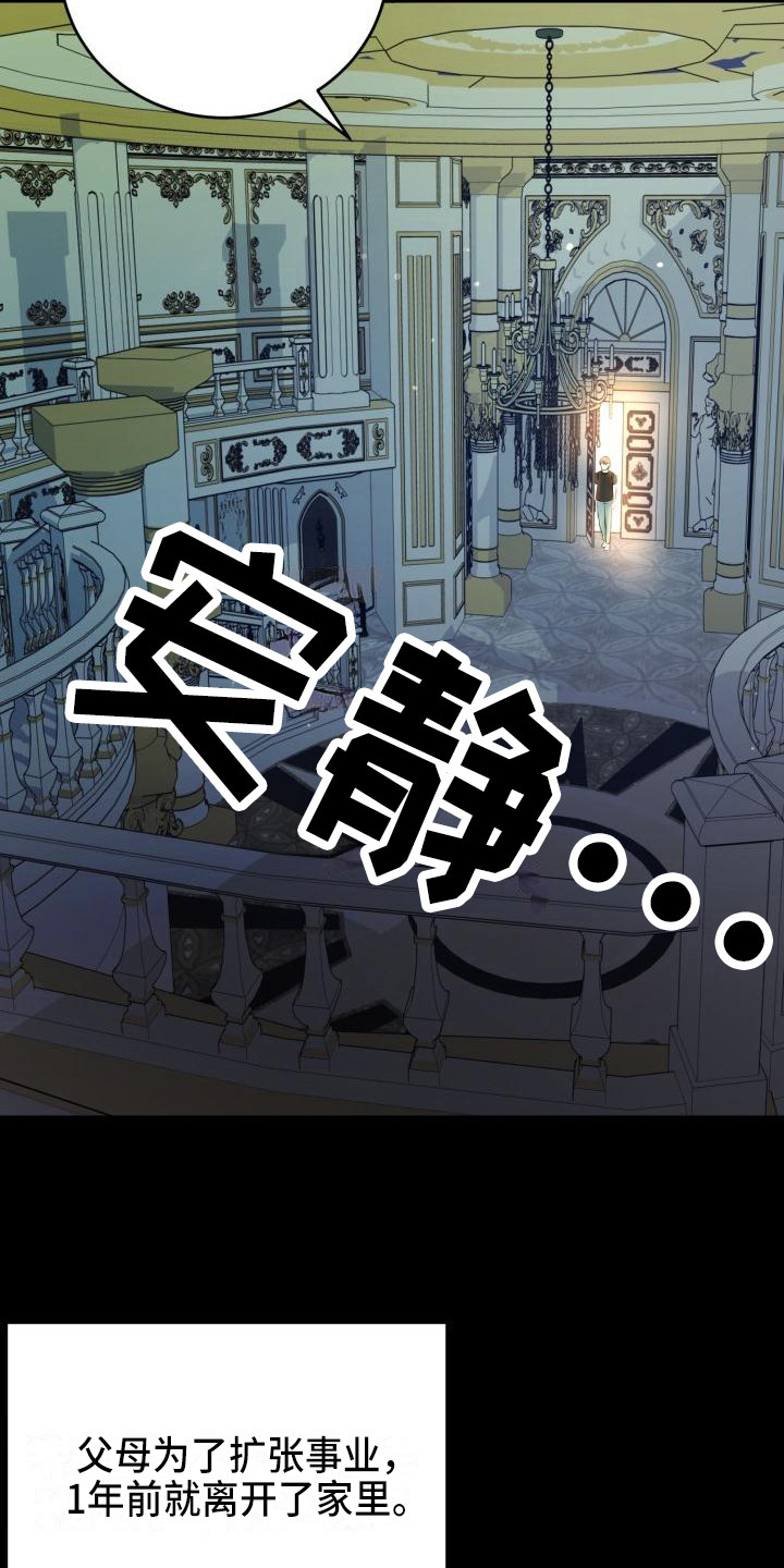 第17章：领养13