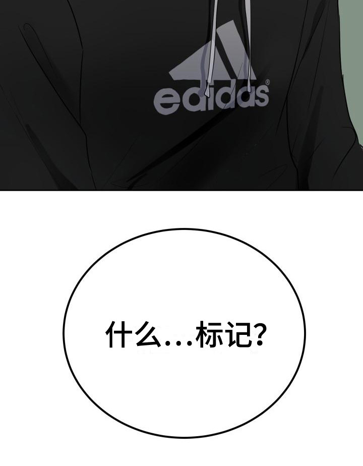 第3章：被标记6