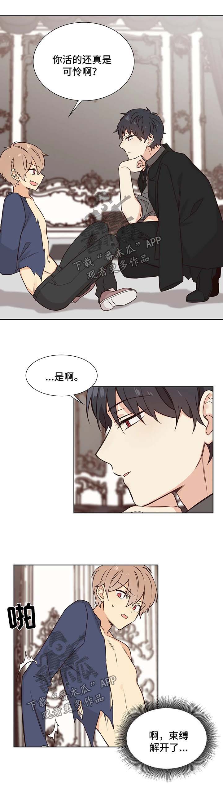 第88章：做我玩的玩具3