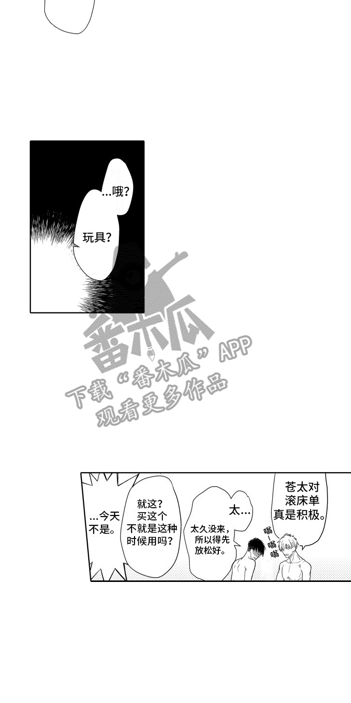 第26章：【番外】玩具  4