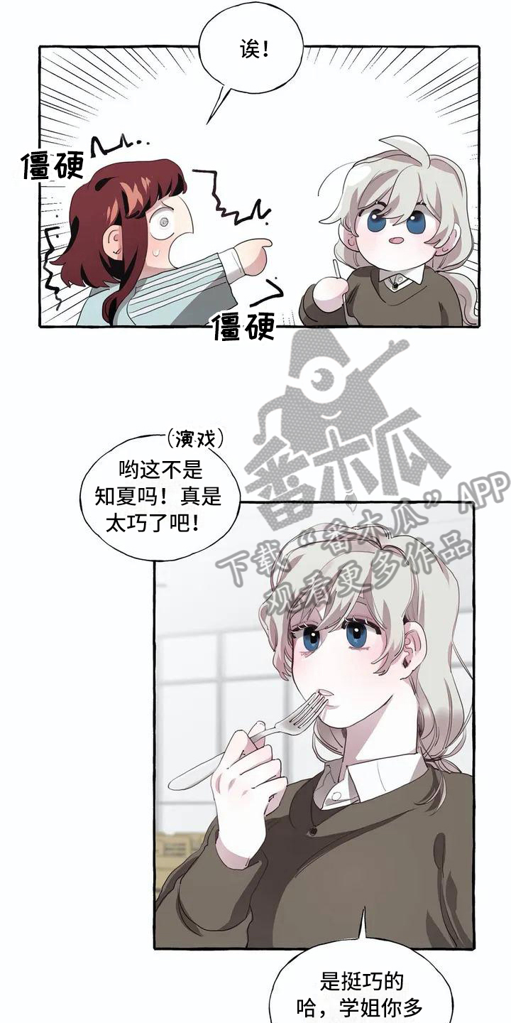 第4章：追求12