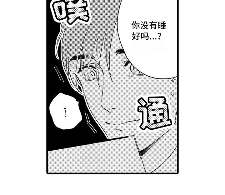 第23章：没睡好20