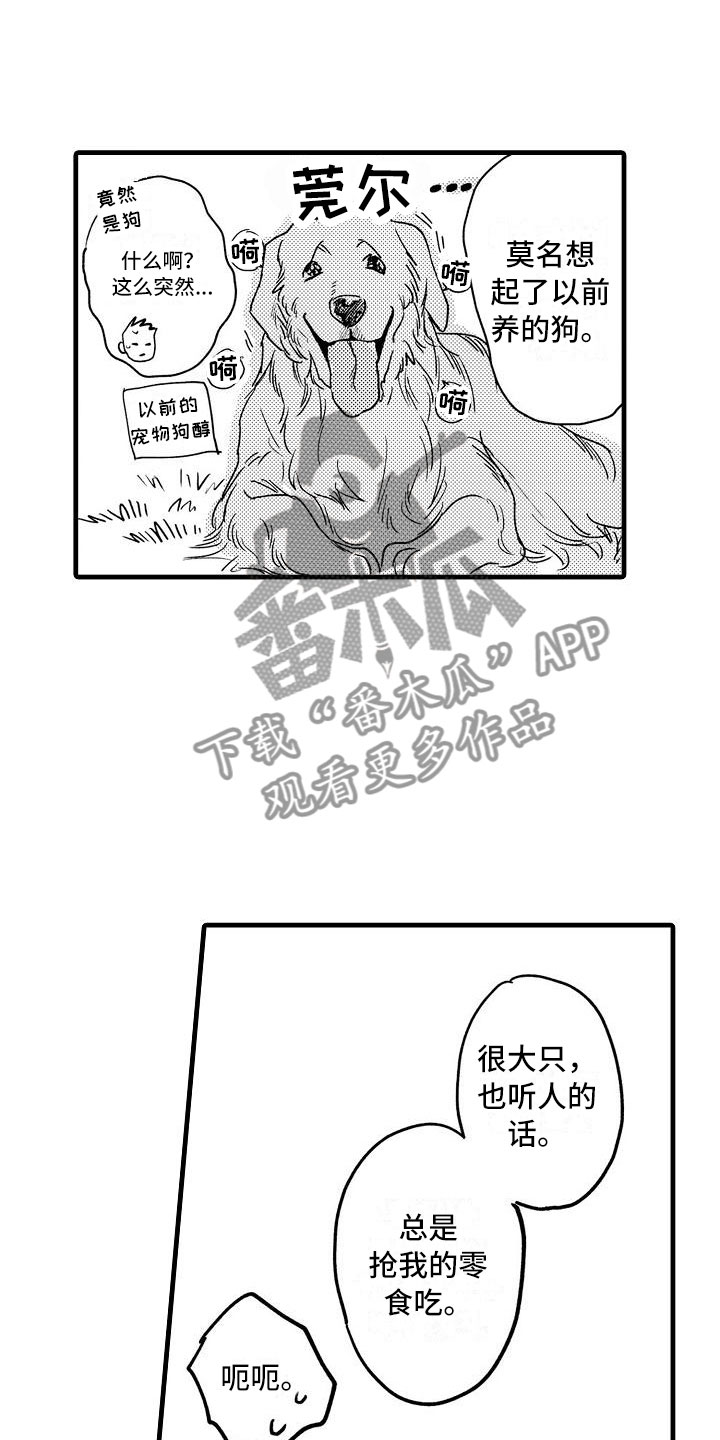 第10章：哪个位置13