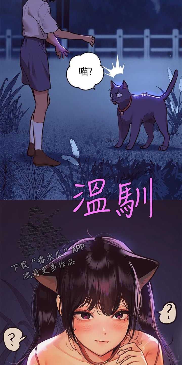 第78章：引导10