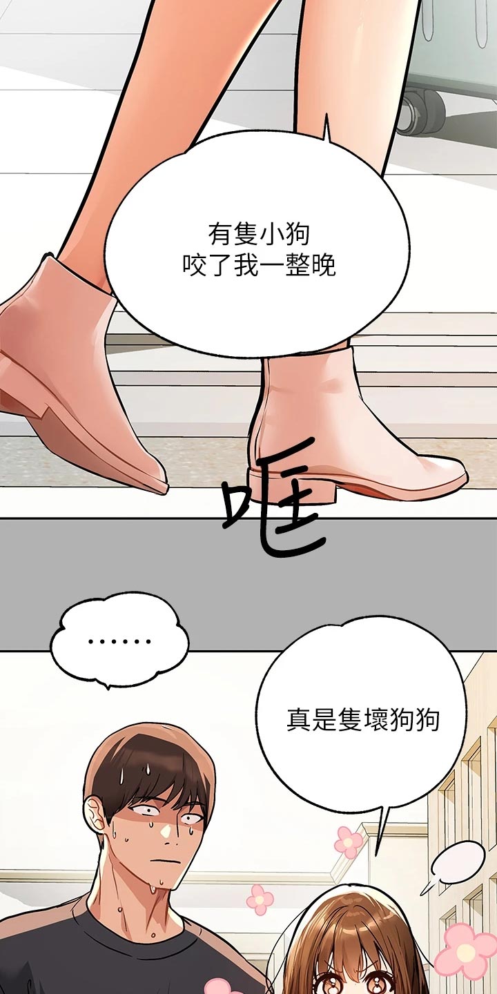 第81章：坏狗狗14