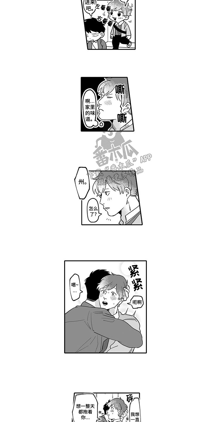 第13章：带回家1