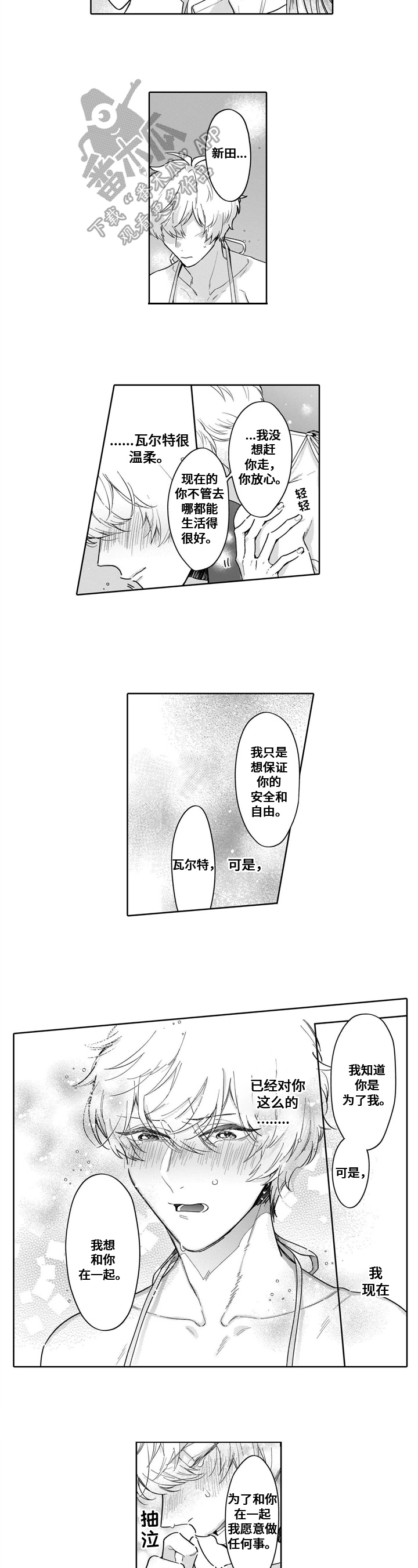 第13章：行动5