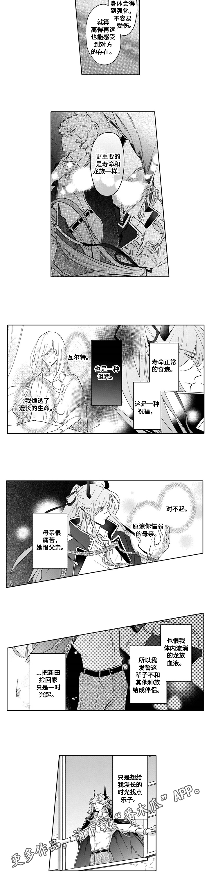 第15章：想法6