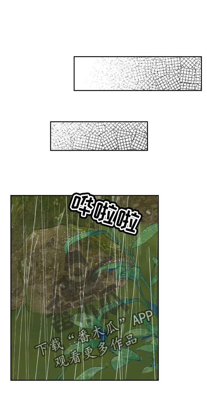 第65章：坠崖17