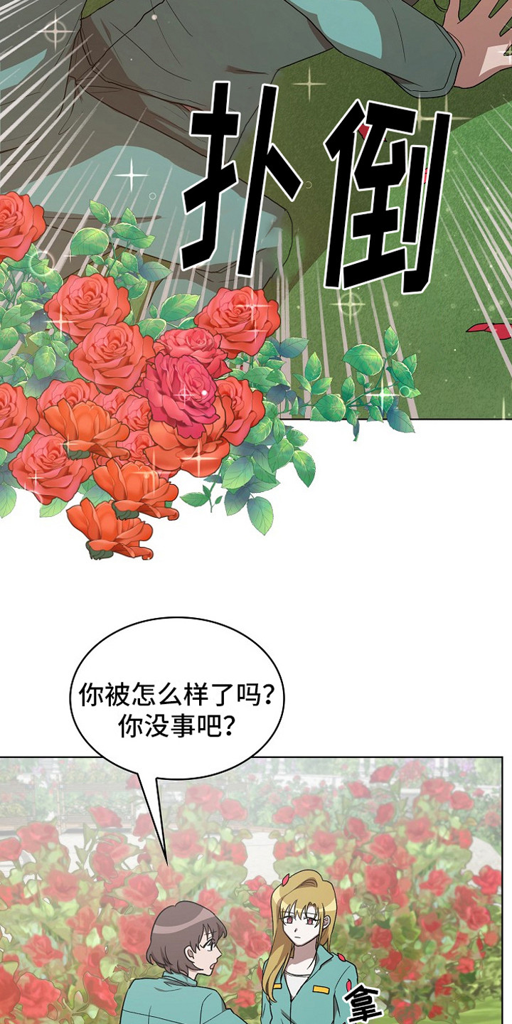第13章：园艺劳动12