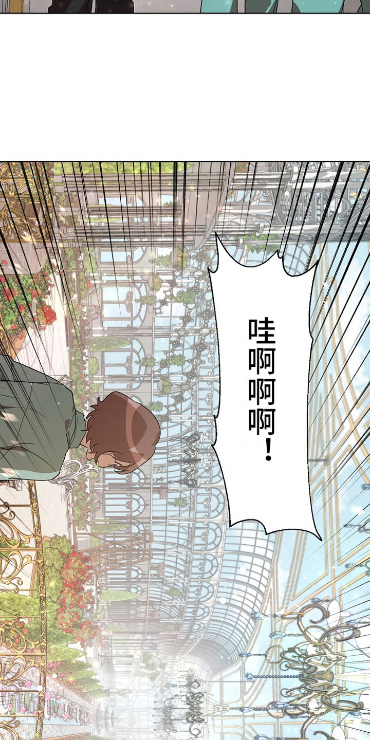 第13章：园艺劳动6