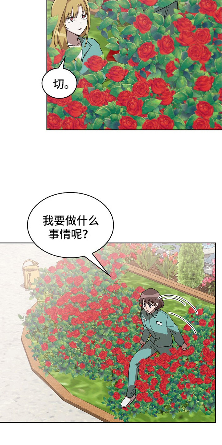 第13章：园艺劳动18