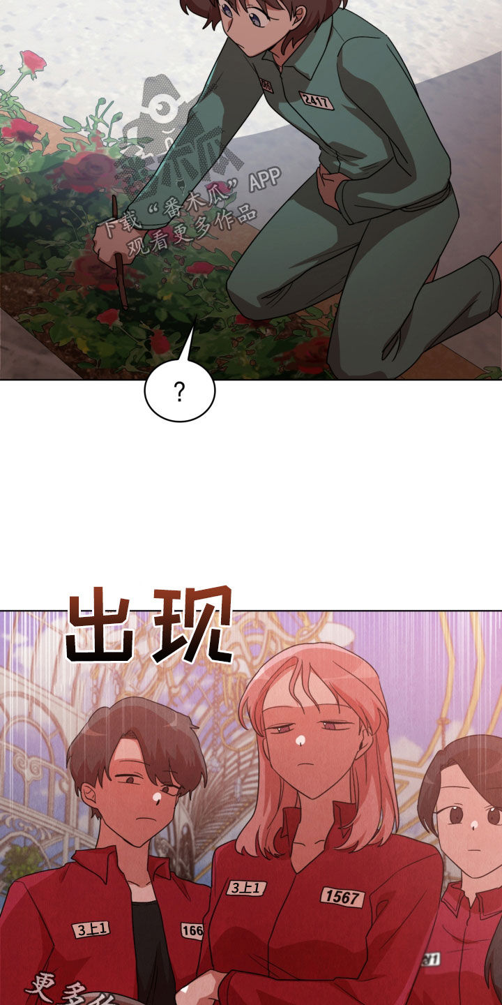 第19章：收集材料24