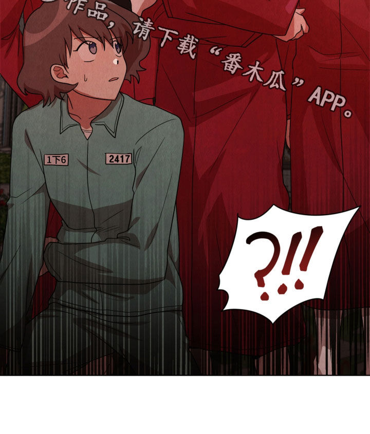 第19章：收集材料25