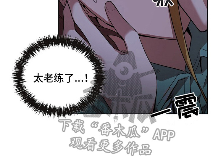 第7章：老练19