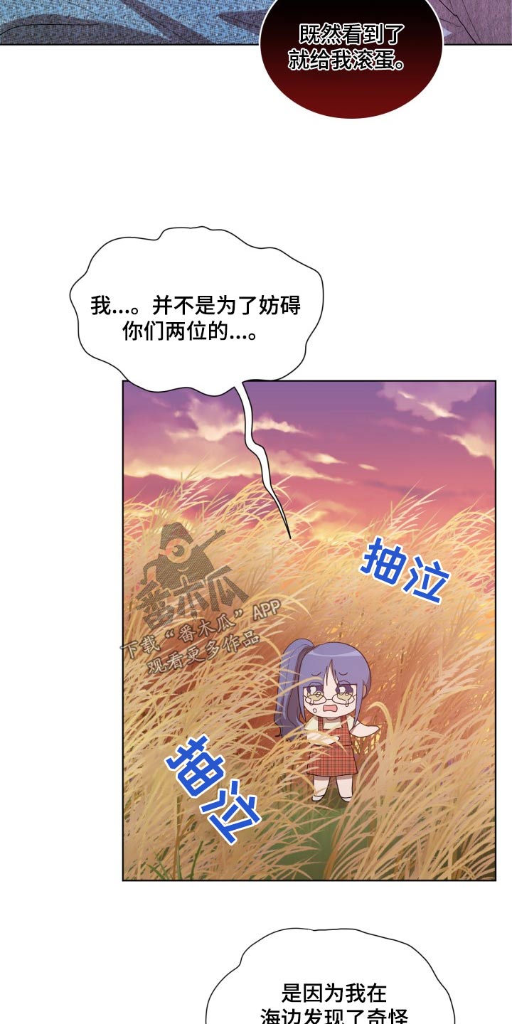 第41章：怎么回事3