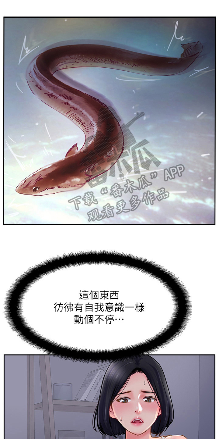 第14章：不可思议13