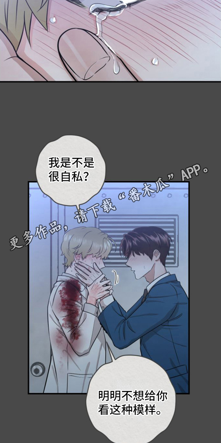 第12章：没法瞧4