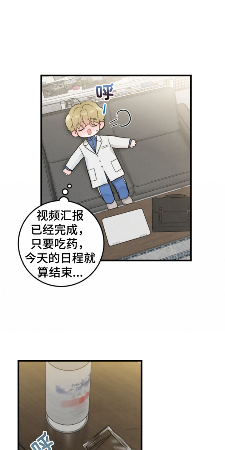 第16章：视频汇报15