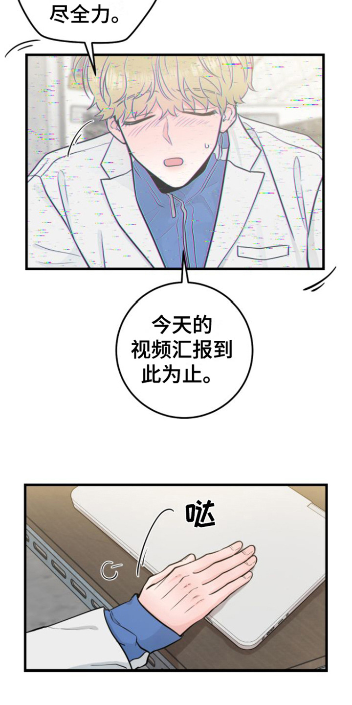 第16章：视频汇报14