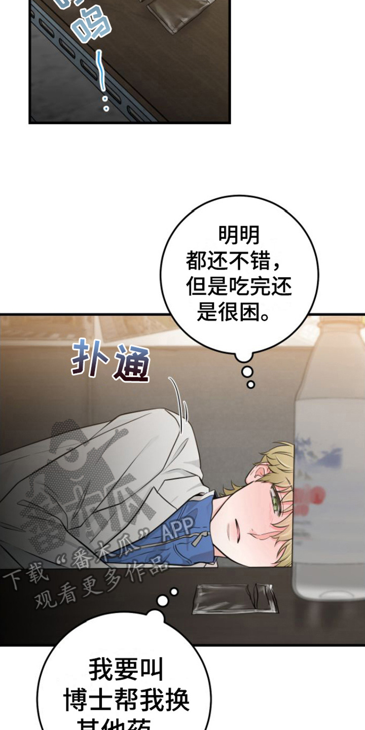 第16章：视频汇报16
