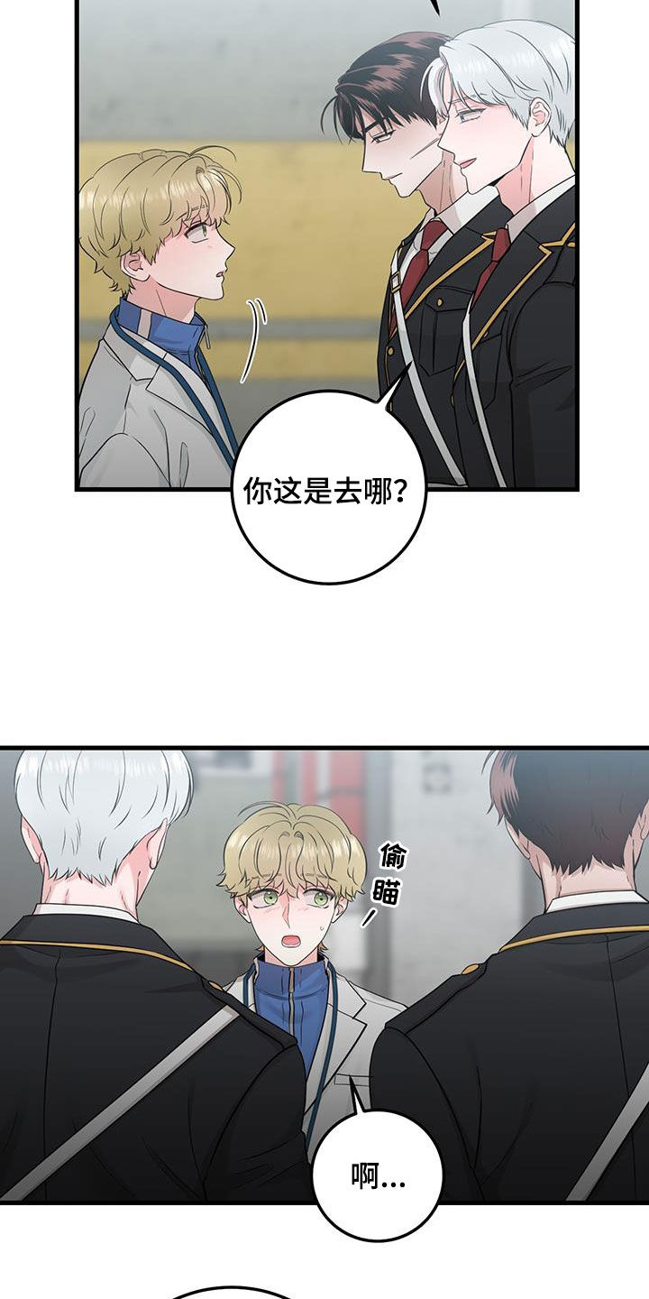 第29章：更换25