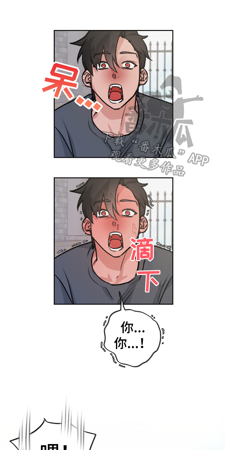 第6章：出主意0
