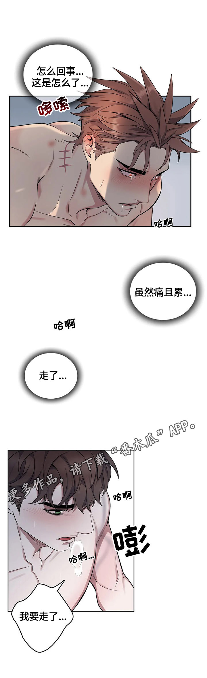 第35章：新的感觉11