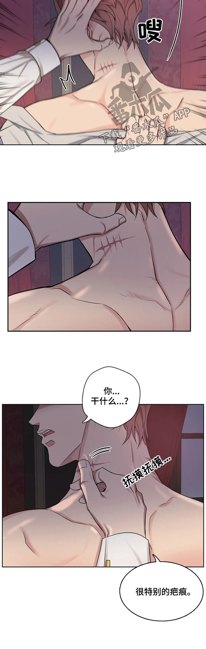 第41章：疤痕7