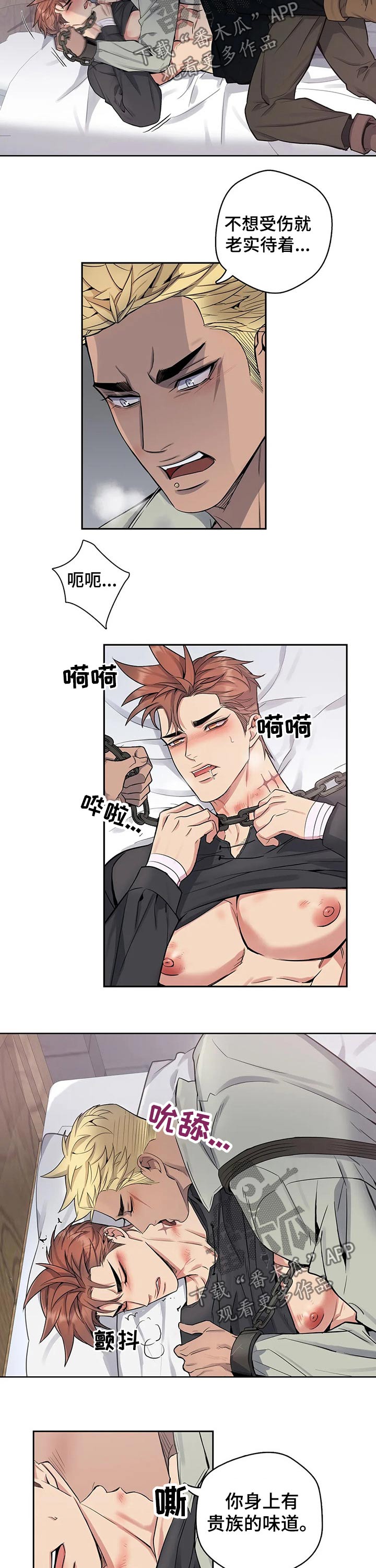 第64章：反抗5