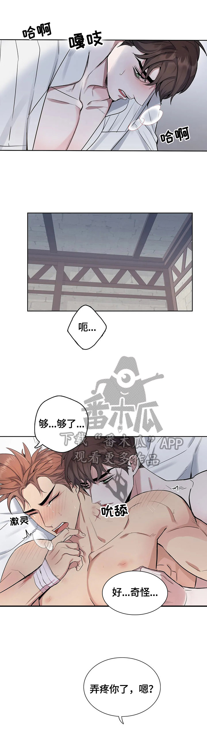 第35章：新的感觉8