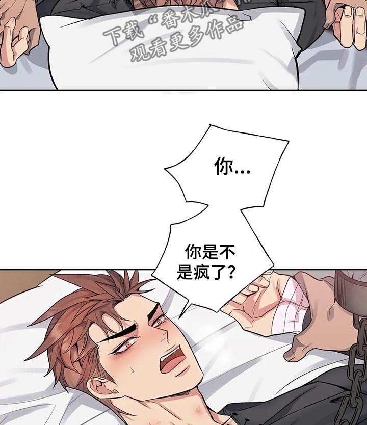 第64章：反抗3