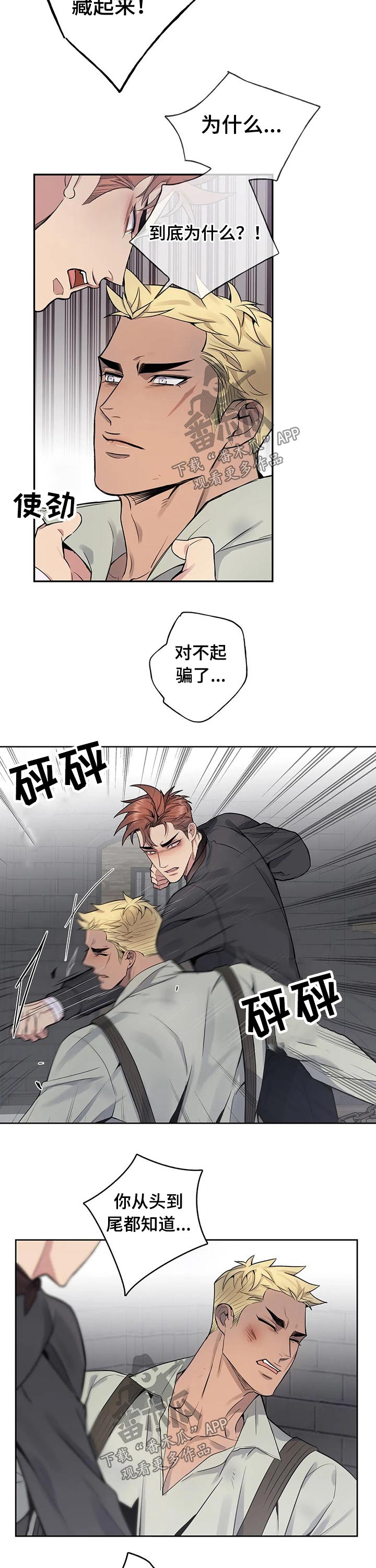 第62章：文件10