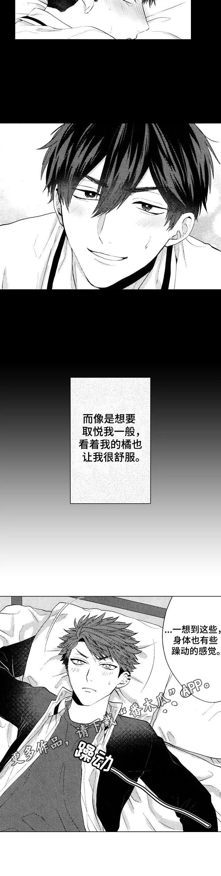 第21章：【番外】躁动8