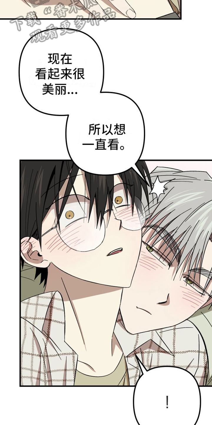 第9章：特别3