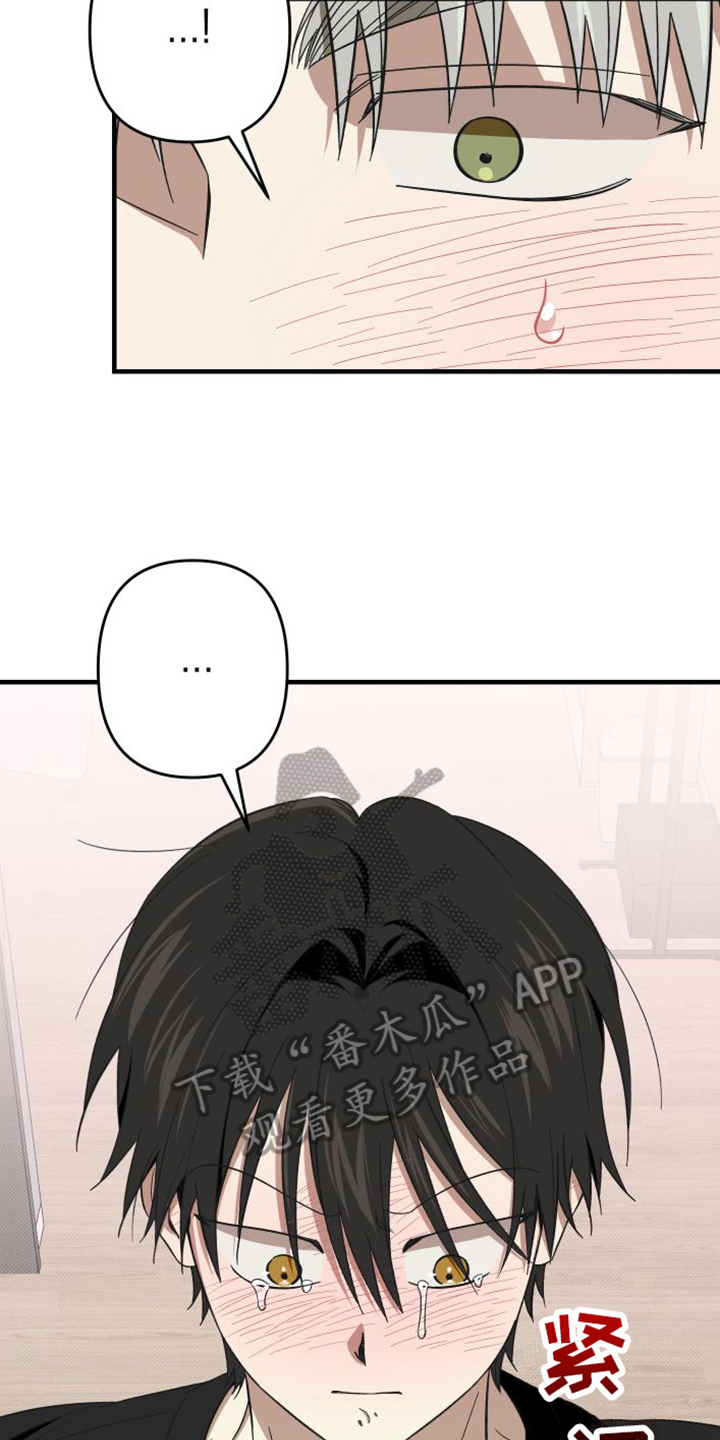 第16章：原谅2