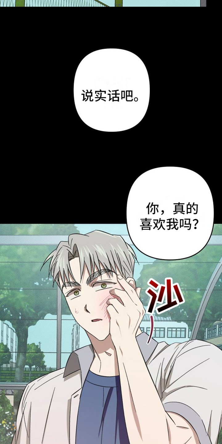 第13章：爱好16