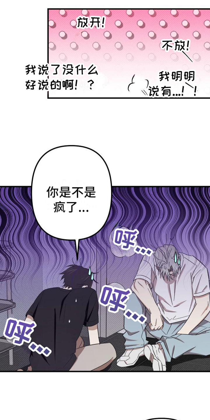 第13章：爱好1